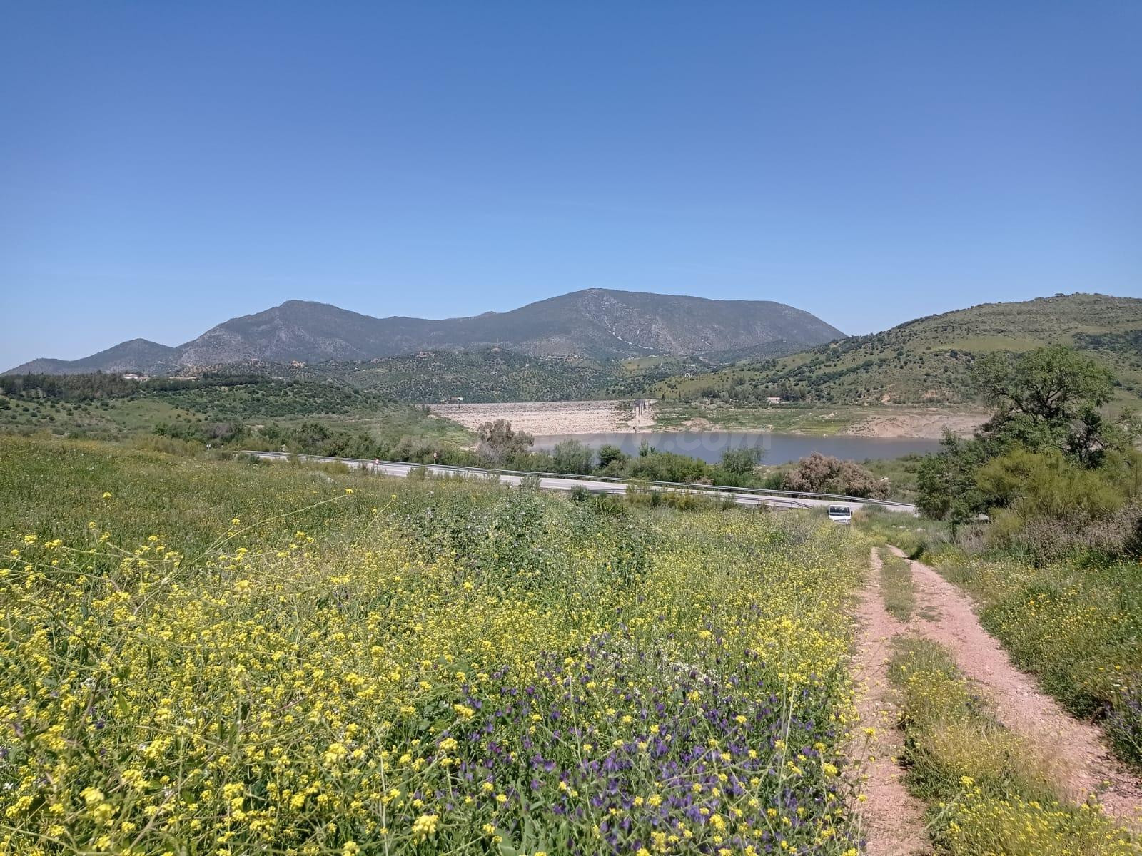 SE VENDE TERRENO EN ZAHARA DE LA SIERRA