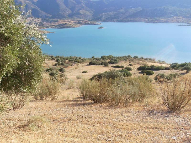 SE VENDE FINCA EN EL GASTOR - foto 3