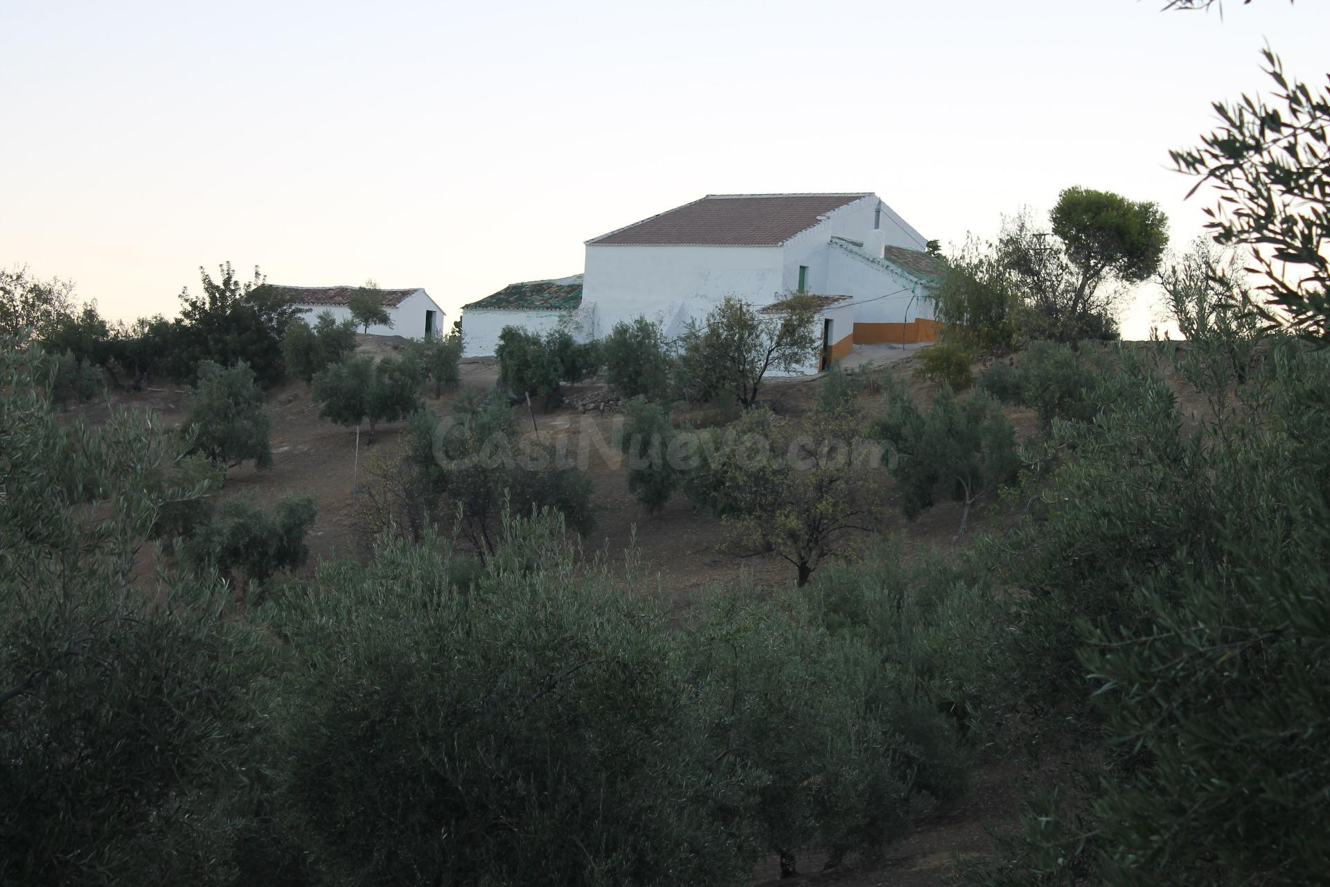 SE VENDE FINCA CON CORTIJO - foto 2