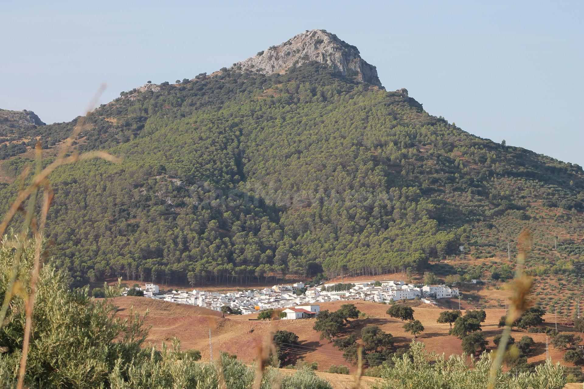 SE VENDE FINCA CON CORTIJO - foto 3