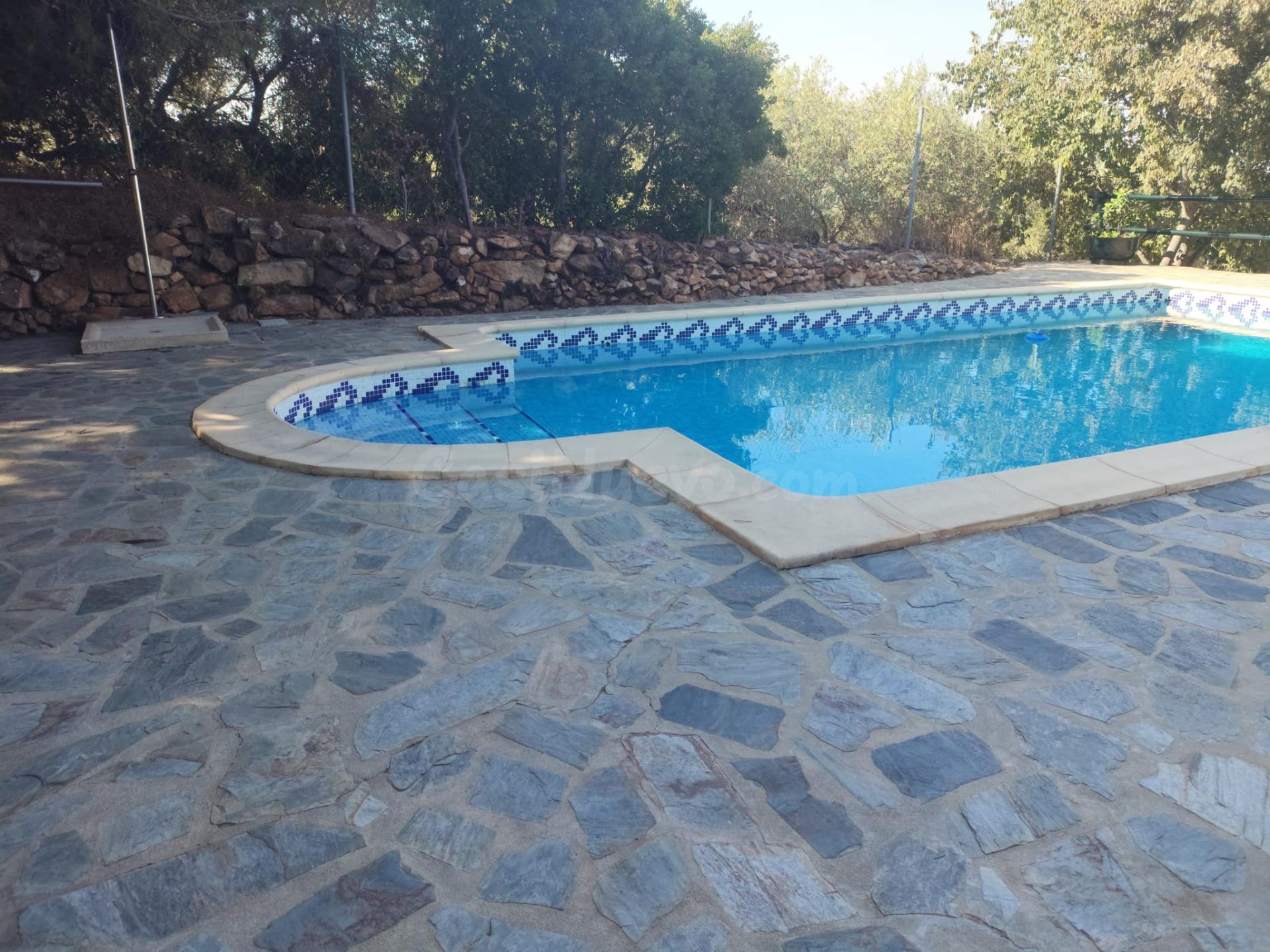 Venta de Chalet en El Jaral El Gastor - foto 3