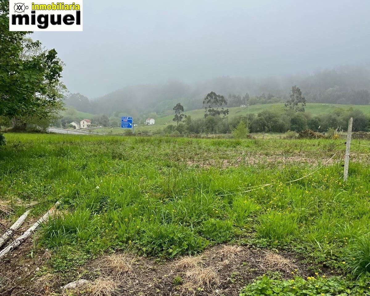Oportunidad Única: Almacén en Ruinas con Potencial de Rehabilitación - foto 3