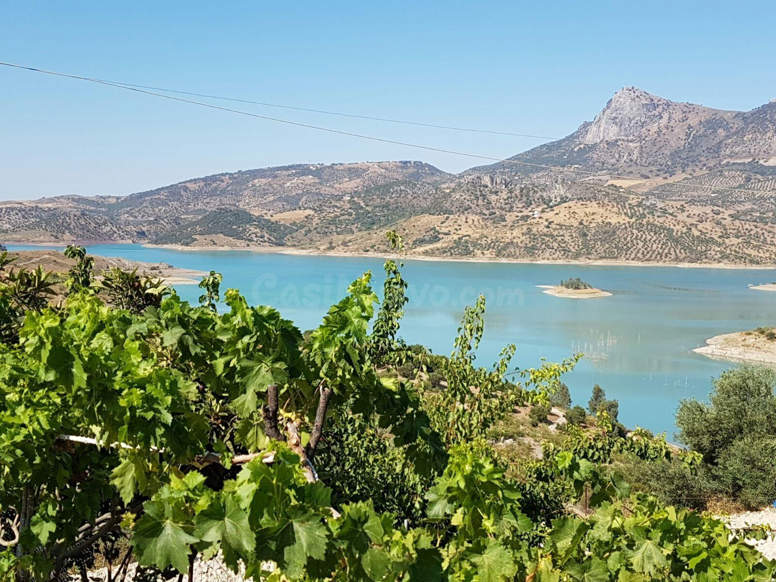 SE VENDE FINCA CON VIVIENDA EN ARROYOMOLINOS ZAHARA