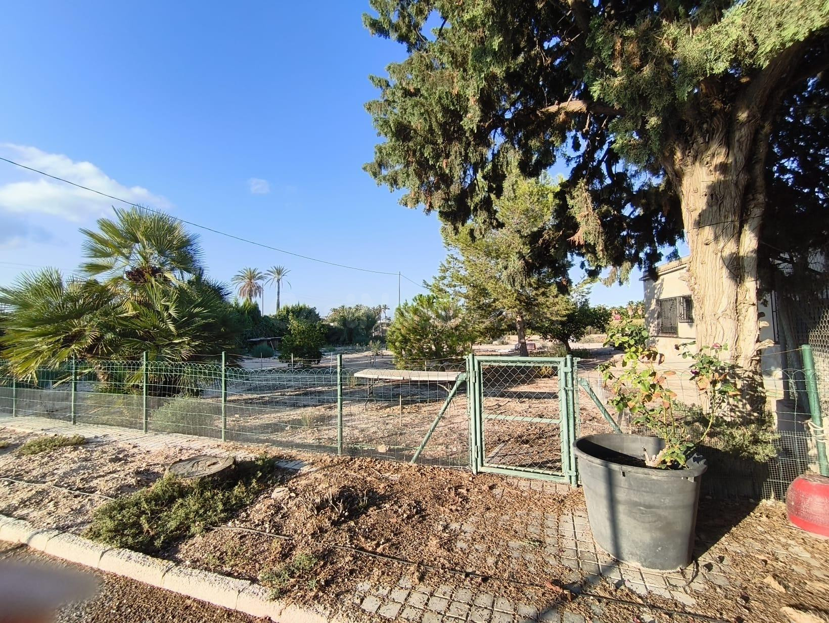 Casa con terreno a solo 2 minutos de Elche! - foto 3