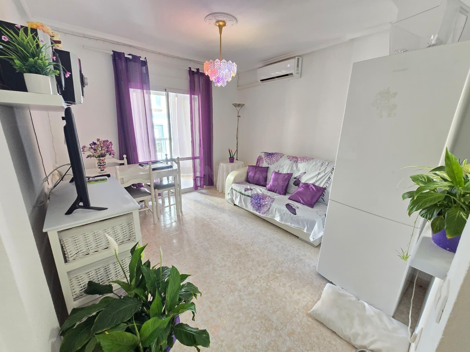 ✨ ¡Tu oasis junto al mar en Torrevieja! ️