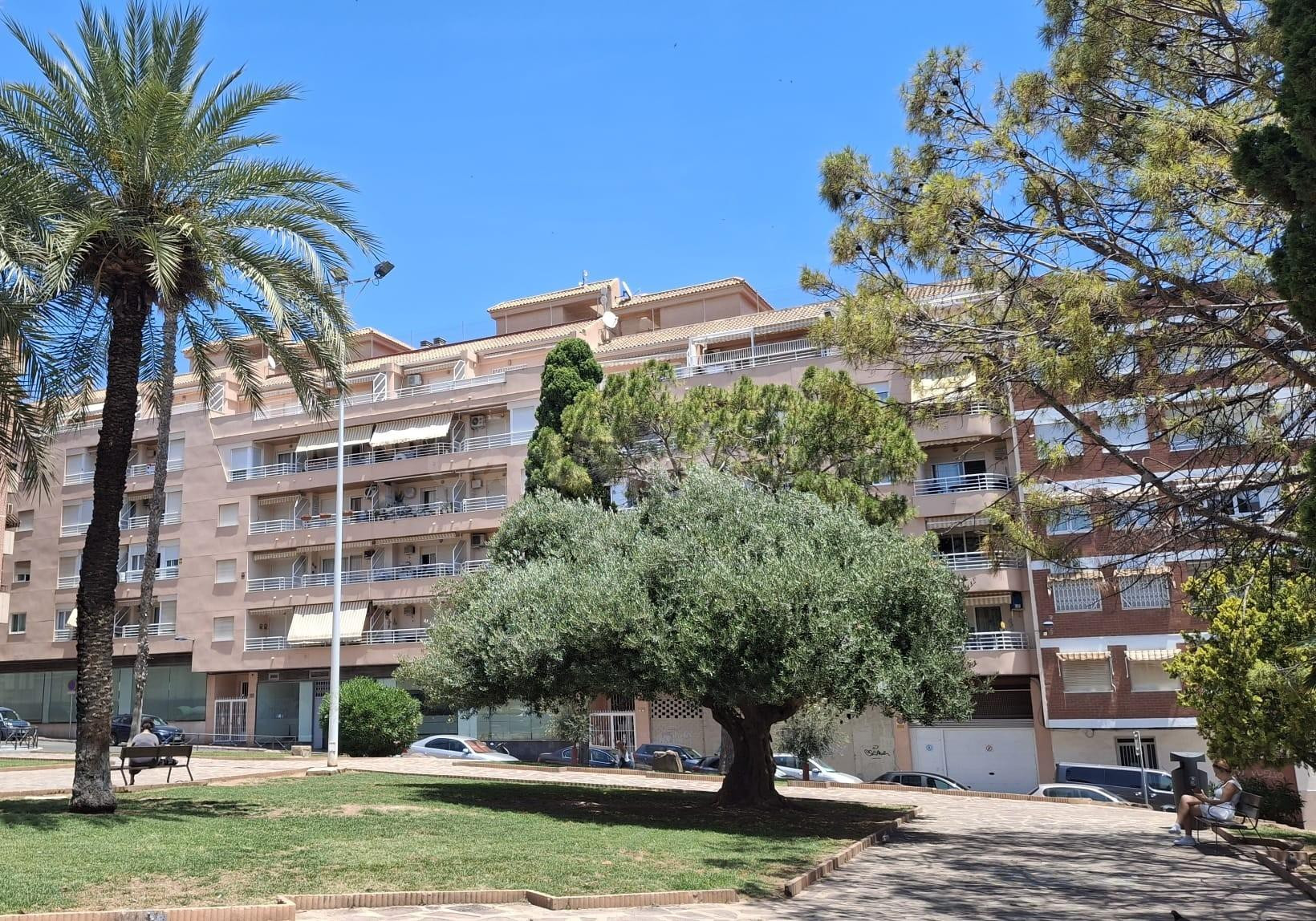 Apartamento reformado con vistas al parque en la Plaza María Asunción - foto 3