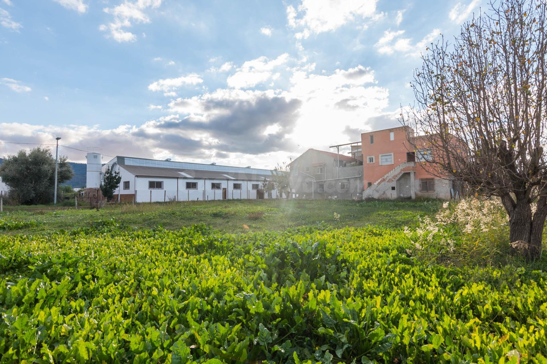 TERRENO URBANO EN SANTA CATALINA - foto 2