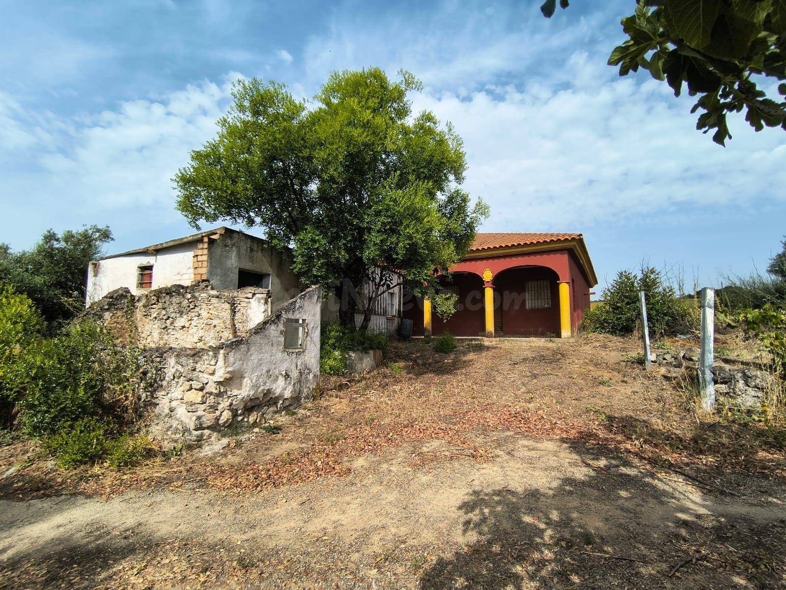 FINCA RUSTICA EN MARCHANUDO CON VIVIENDA - foto 2