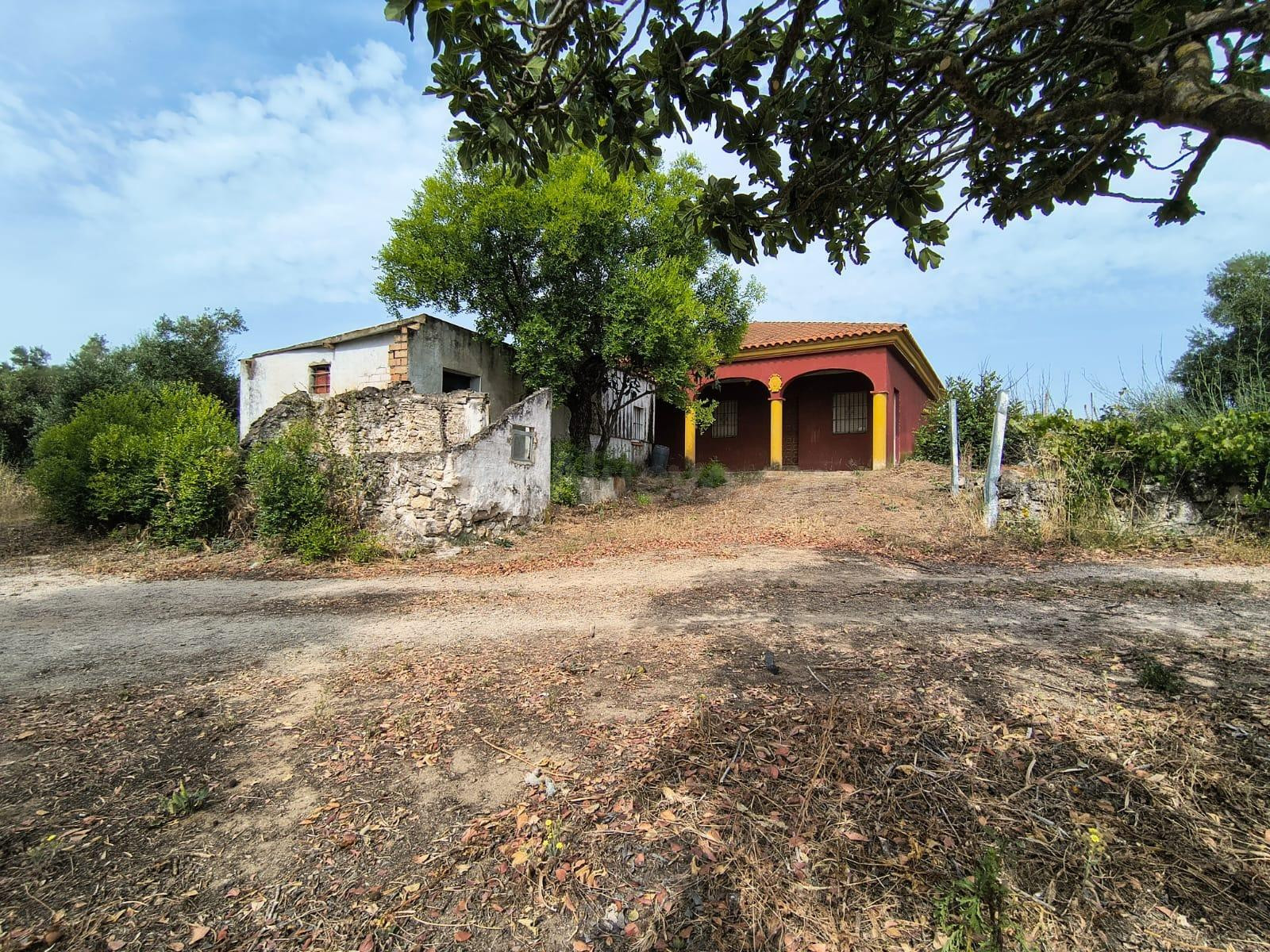FINCA RUSTICA EN MARCHANUDO CON VIVIENDA - foto 3