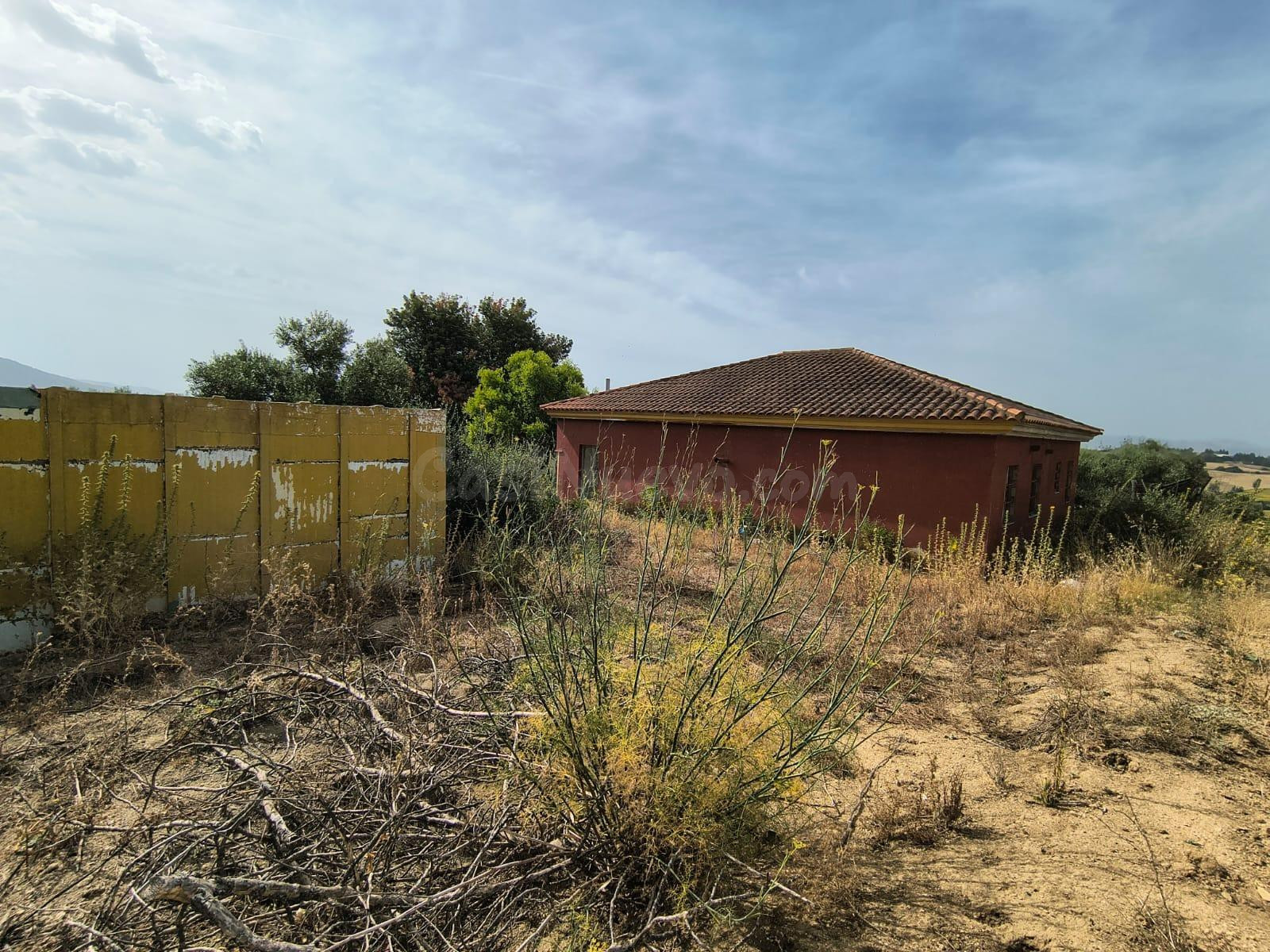 FINCA RUSTICA EN MARCHANUDO CON VIVIENDA - foto 4
