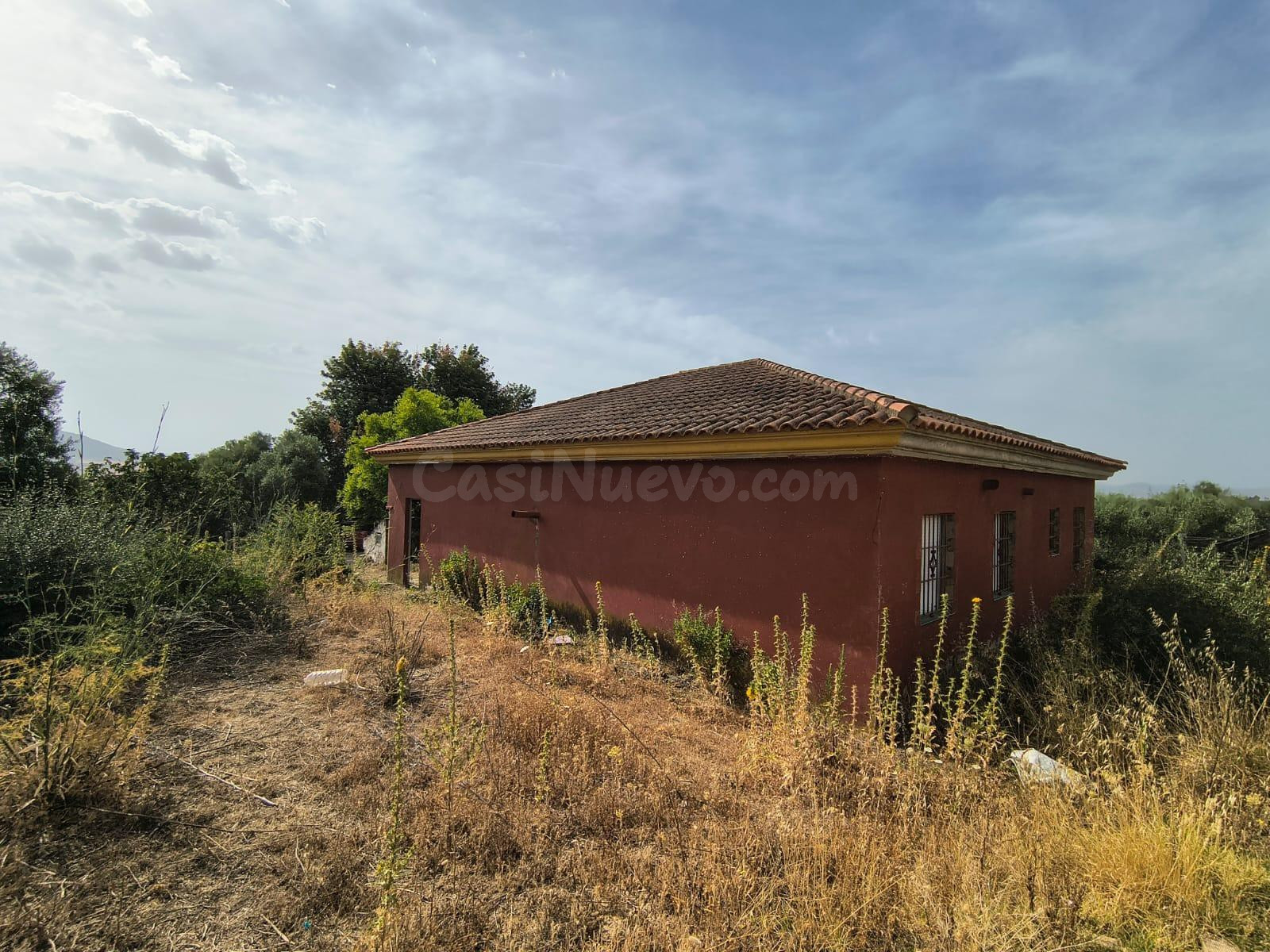 FINCA RUSTICA EN MARCHANUDO CON VIVIENDA - foto 5