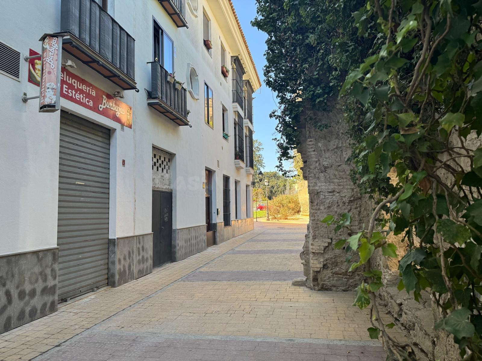 SE VENDE LOCAL COMERCIAL - foto 4