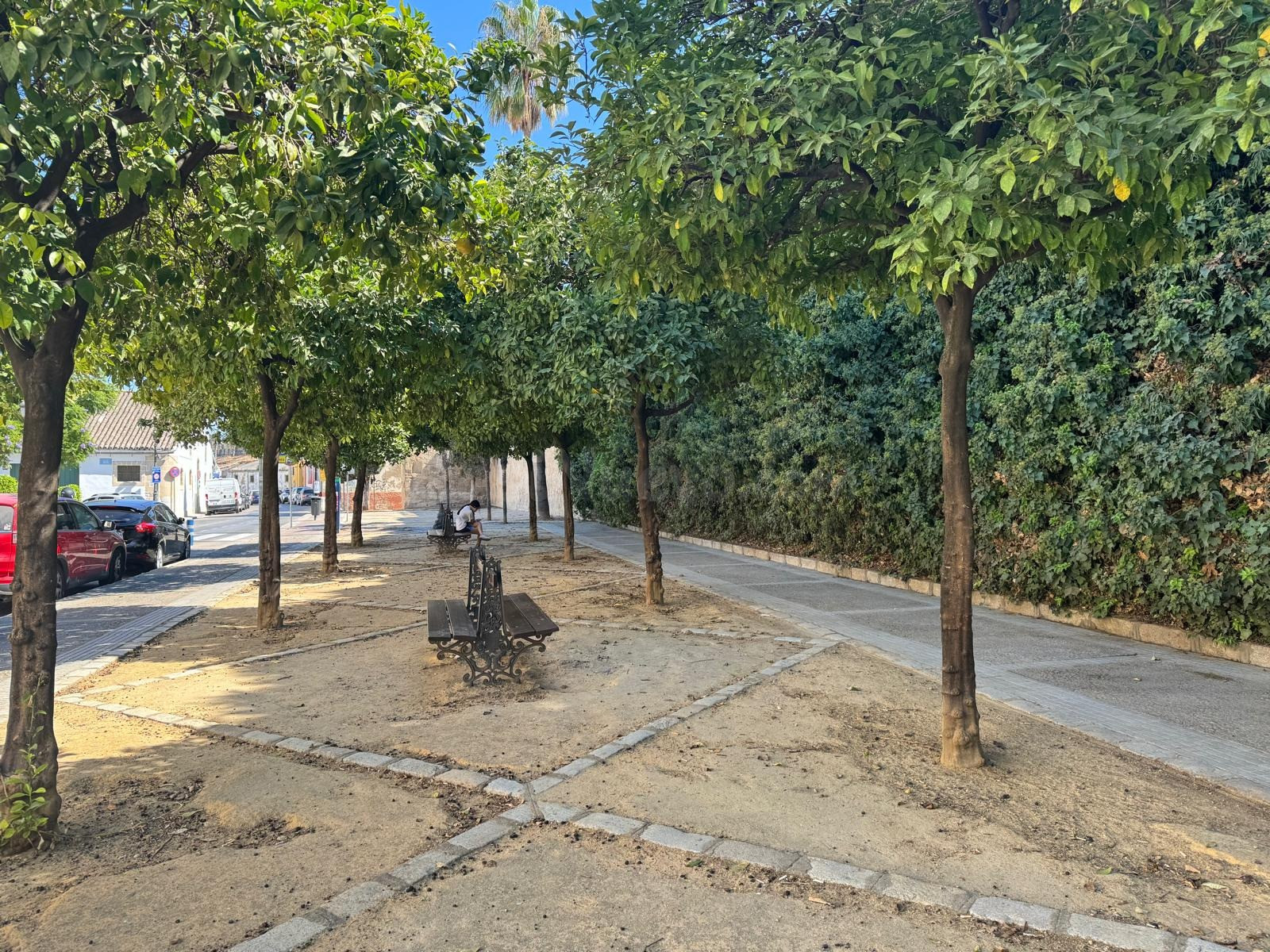 SE VENDE LOCAL COMERCIAL - foto 5