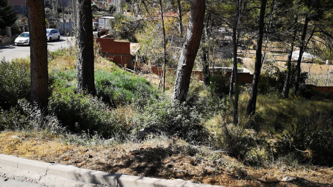 TERRENO URBANO EN LA POBLA DE CLARAMUNT ZONA LES GARRIGUES - foto 2