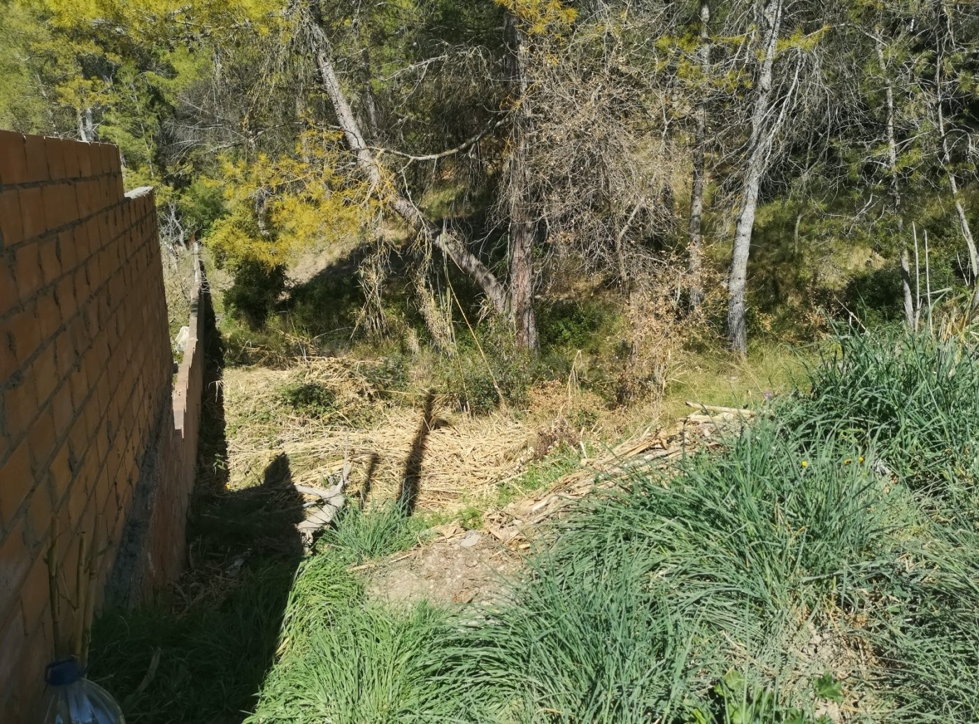 TERRENO URBANO EN LA POBLA DE CLARAMUNT ZONA LES GARRIGUES - foto 3