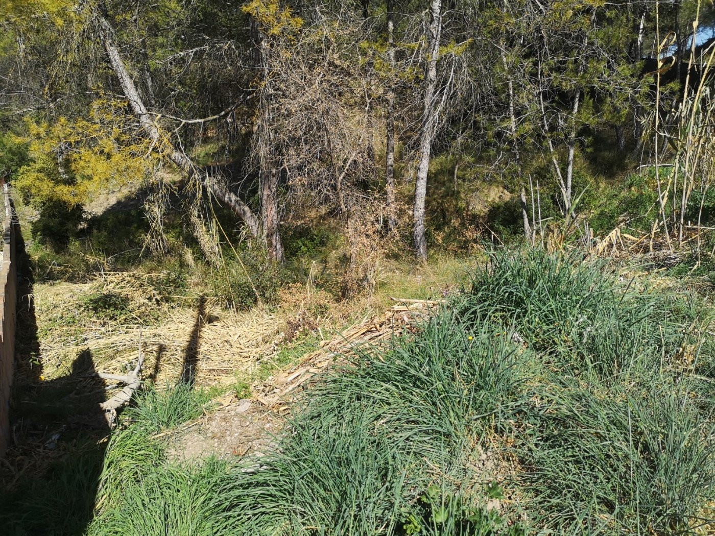 TERRENO URBANO EN LA POBLA DE CLARAMUNT ZONA LES GARRIGUES - foto 4