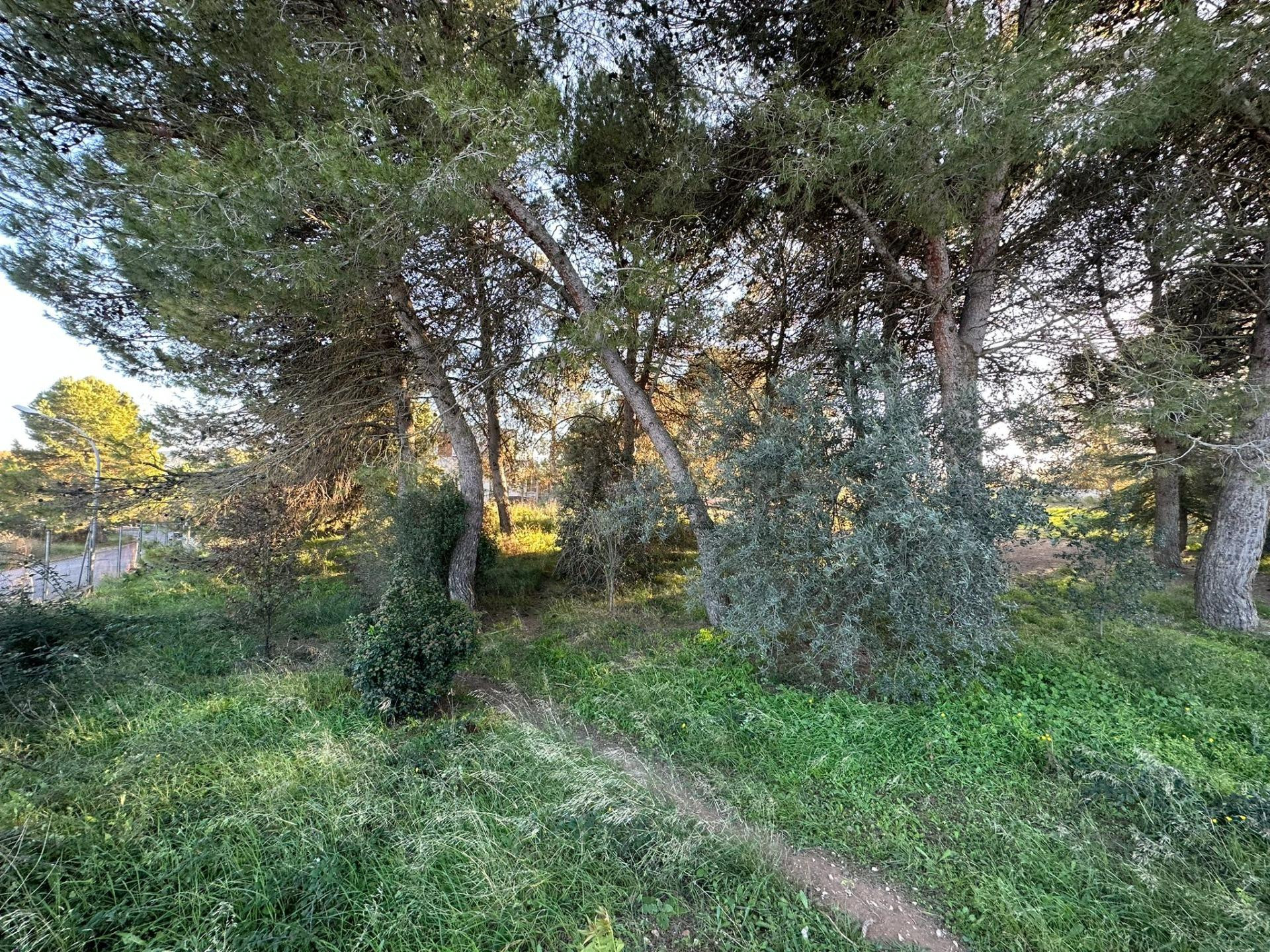 VENTA TERRENO EN IGUALADA ZONA SES OLIVERES 795m2 Y VISTAS!! - foto 2