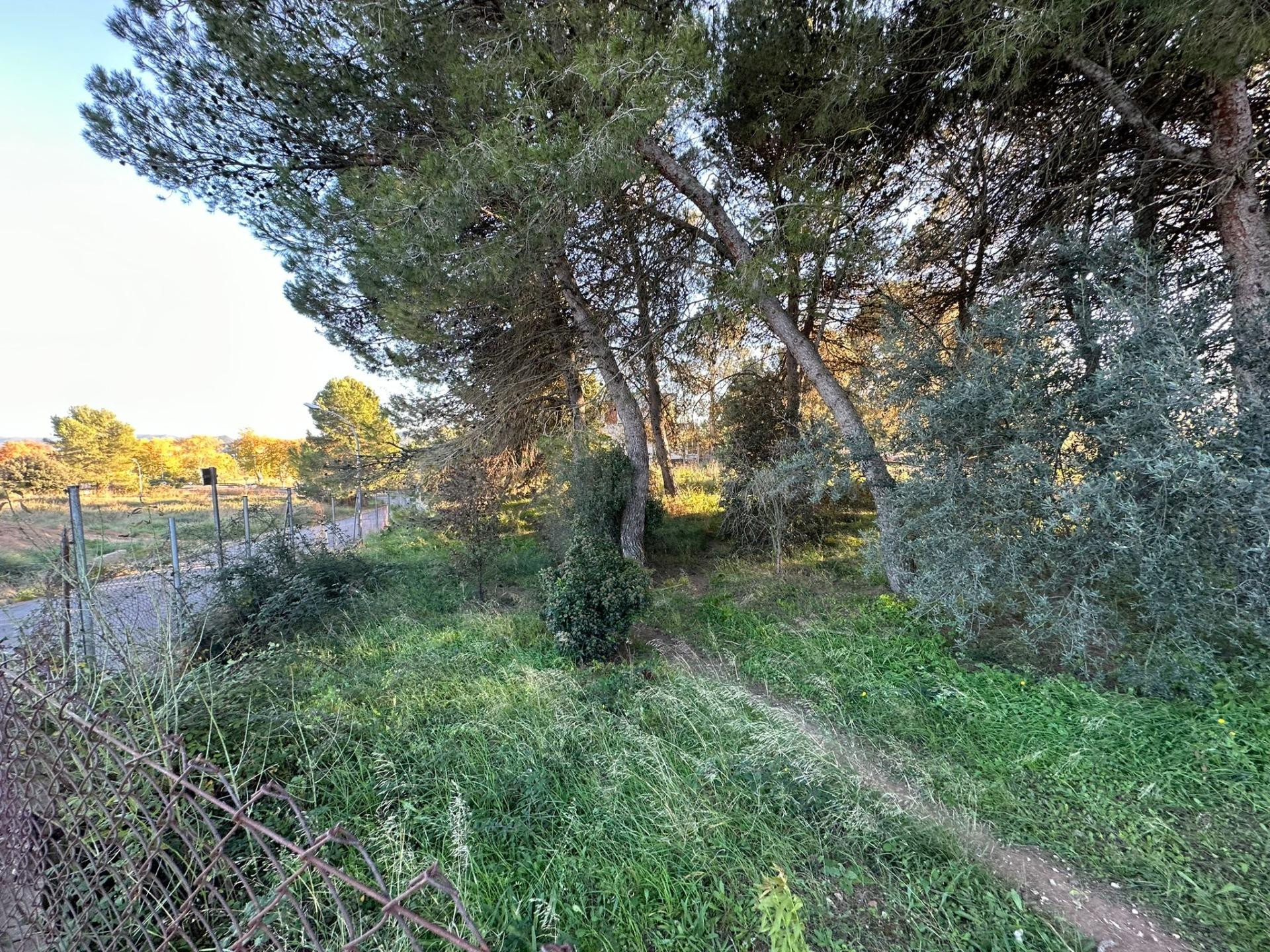 VENTA TERRENO EN IGUALADA ZONA SES OLIVERES 795m2 Y VISTAS!! - foto 3