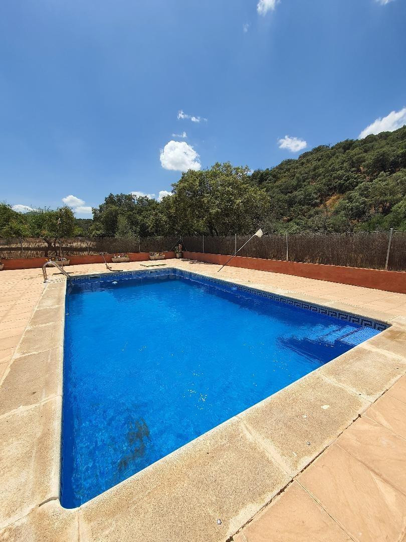 VENTA FINCA RÚSTICA EN BELVÍS DE LA JARA CON PISCINA, 32HA Y OLIVARES!!