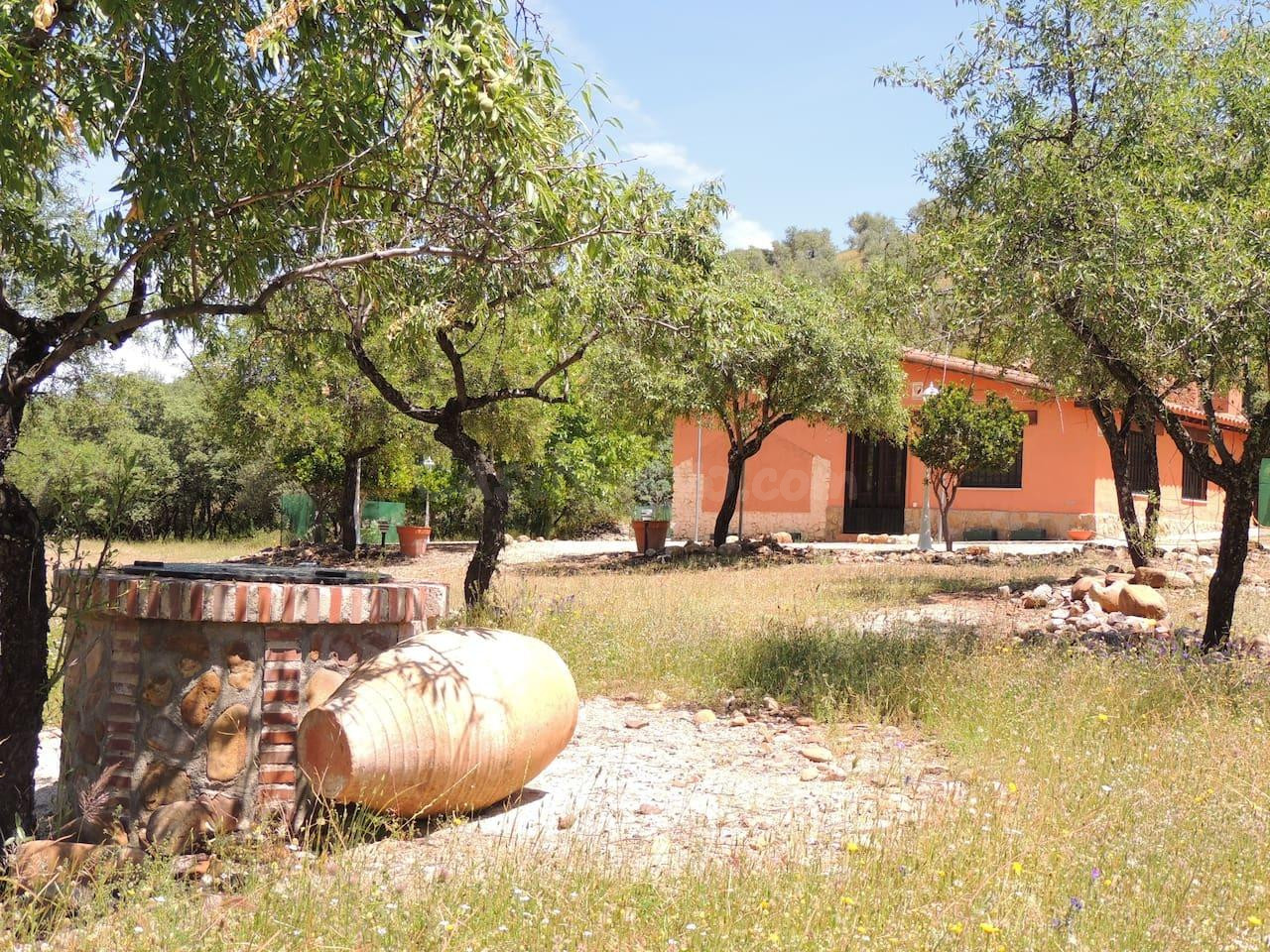 VENTA FINCA RÚSTICA EN BELVÍS DE LA JARA CON PISCINA, 32HA Y - foto 3