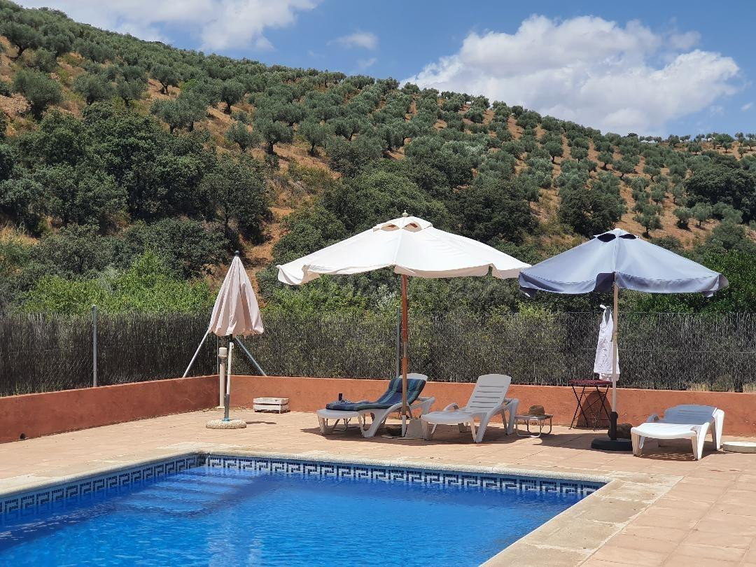 VENTA FINCA RÚSTICA EN BELVÍS DE LA JARA CON PISCINA, 32HA Y - foto 4
