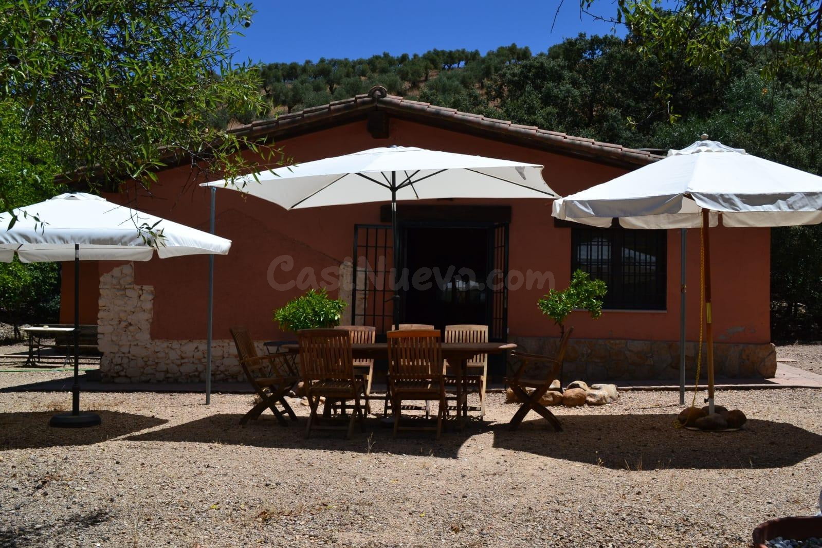 VENTA FINCA RÚSTICA EN BELVÍS DE LA JARA CON PISCINA, 32HA Y - foto 5