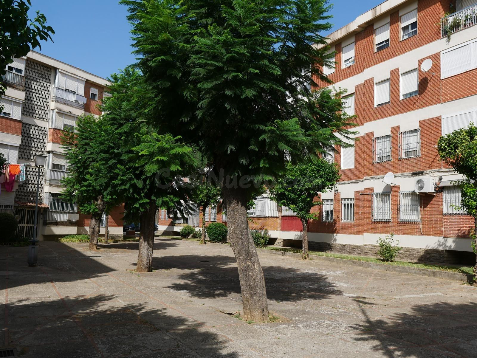 Fantástico piso en Barriada La Unión - foto 4