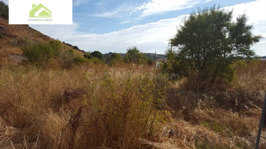 VENTA FINCA CRTA ALMARAZ