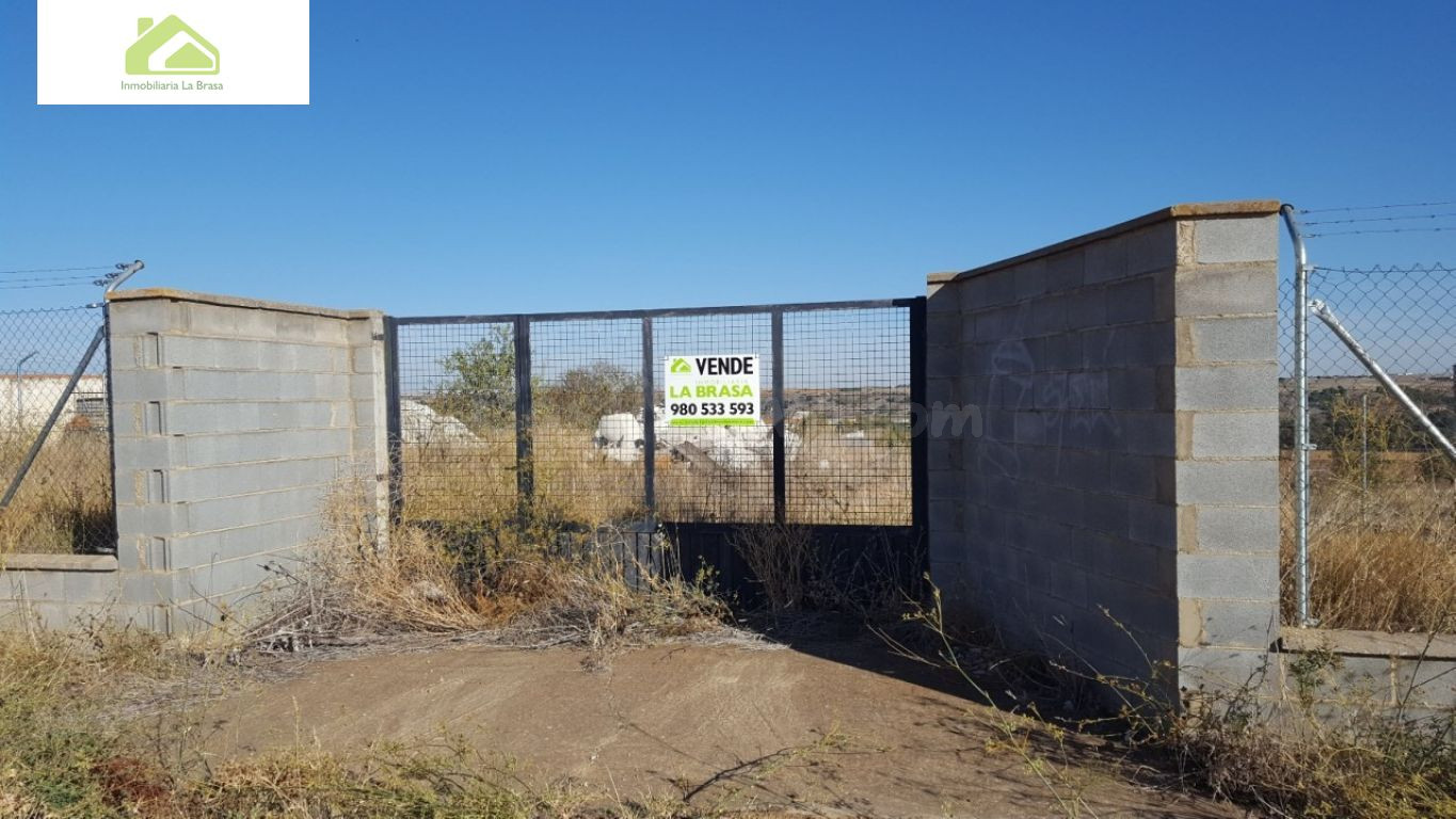 Finca rústica 7000m² en venta - Crta. carrascal - foto 2