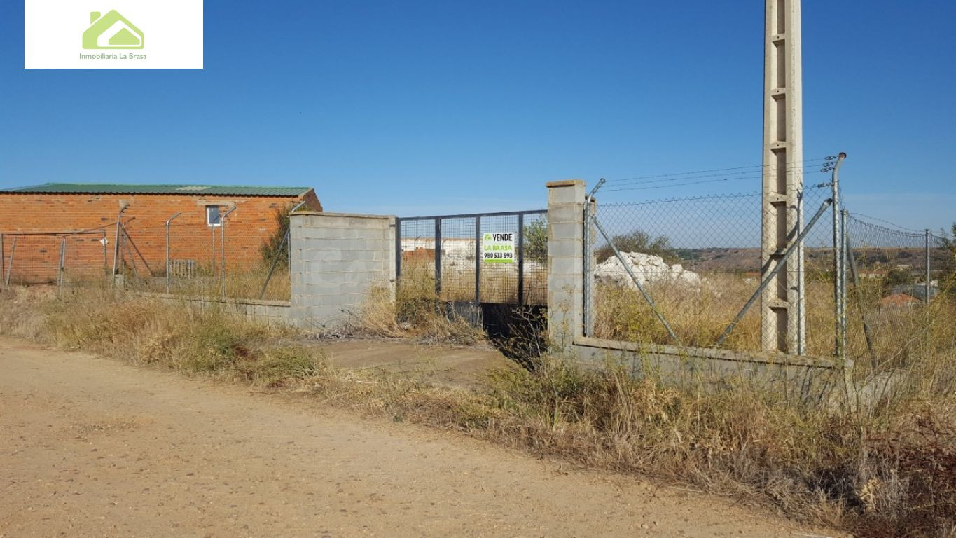 Finca rústica 7000m² en venta - Crta. carrascal - foto 3