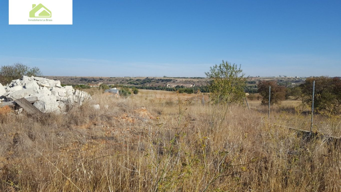 Finca rústica 7000m² en venta - Crta. carrascal - foto 4