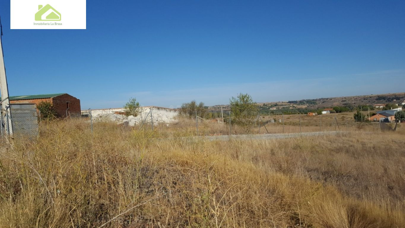 Finca rústica 7000m² en venta - Crta. carrascal - foto 5