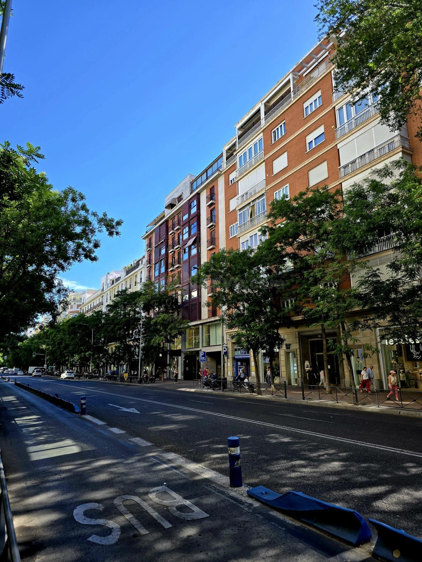 VENTA PISO EN MADRID ZONA B. SALAMANCA CON REFORMA A ESTRENA - foto 2