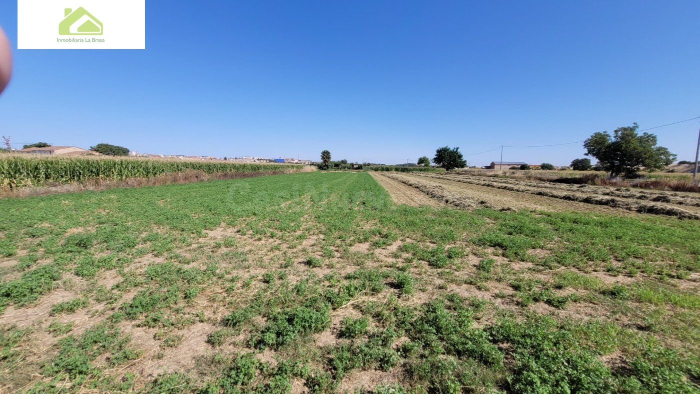 VENTA FINCA CRTA VILLARALBO