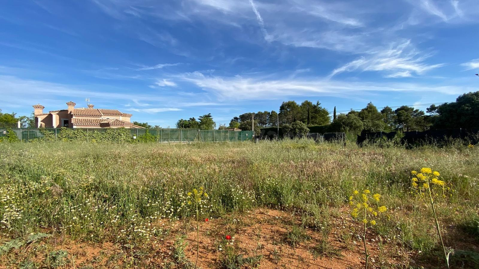 Parcela en venta en Eurovillas – Nuevo Baztán (Madrid) - foto 5
