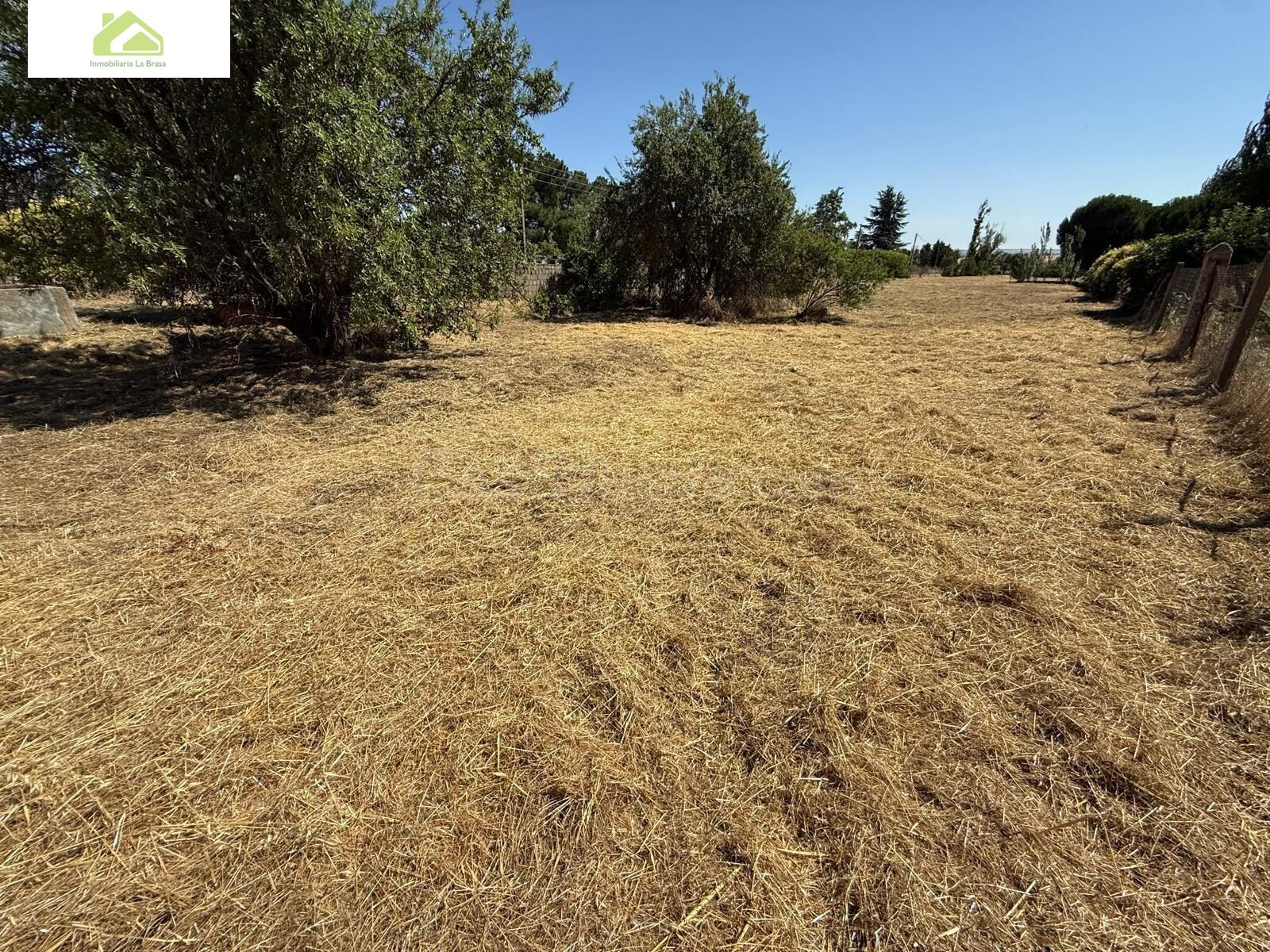 PARCELA RÚSTICA EN VENTA EN MORALES DEL VINO - foto 4