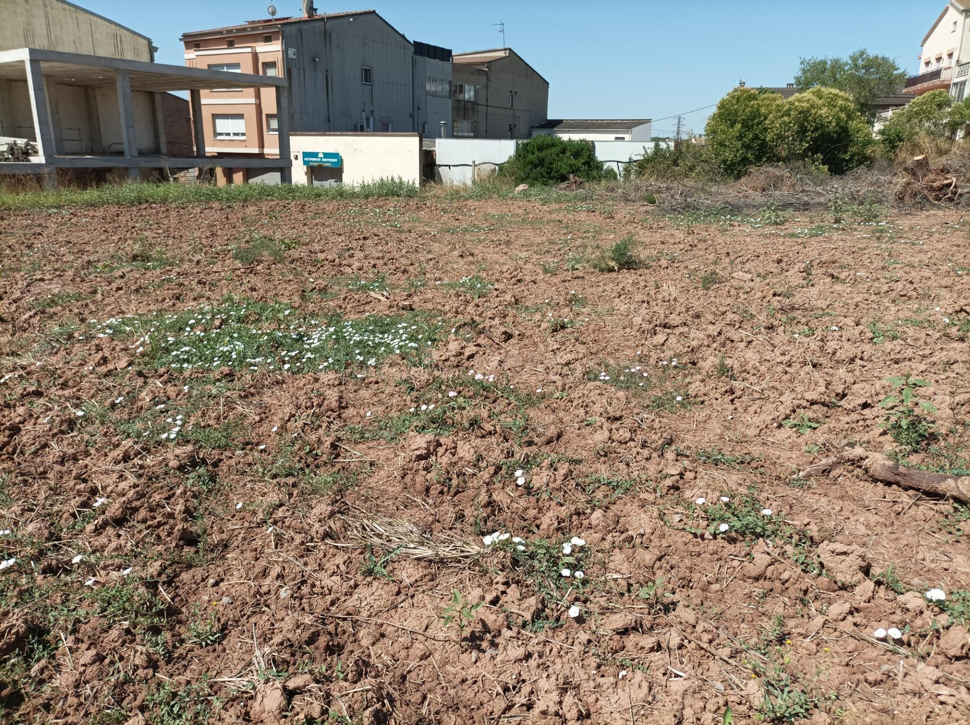 PROMOTORES: Terreno en venta en Carrer Puigmal, Santpedor –  - foto 4