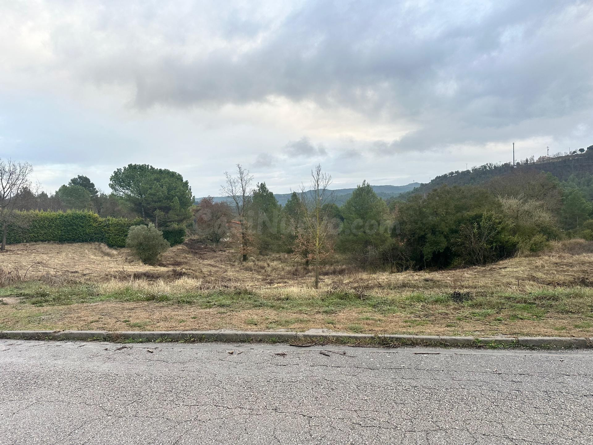 Oportunidad en Aguilar de Segarra: Magnífica parcela de suel - foto 3