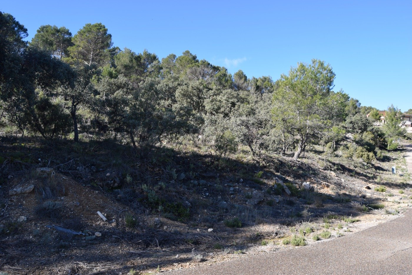 Tegeisa vende parcela con proyecto de obra!!!