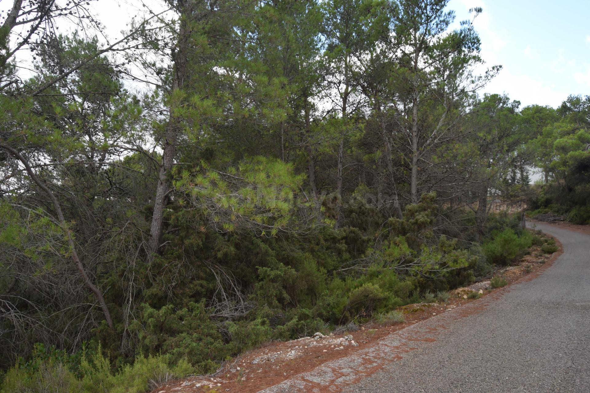 PARCELA CON VISTAS