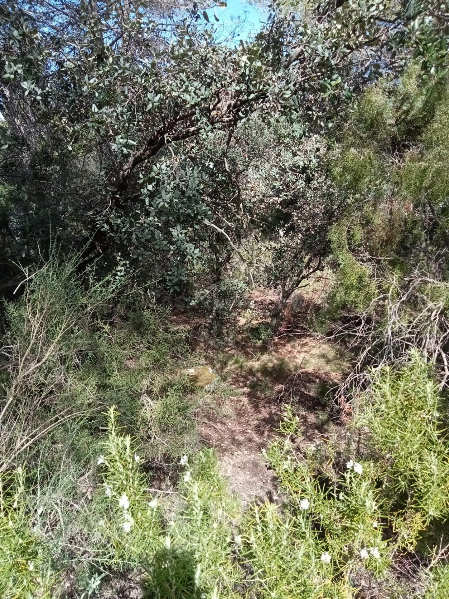 Parcela semillana de 585 m2 - foto 3