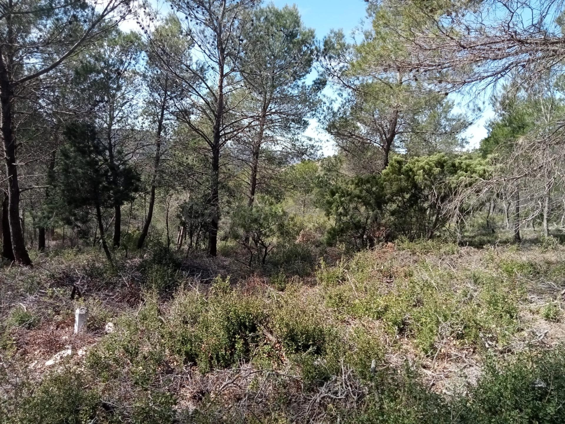 Parcela urbanizable de 955m2, en zona muy tranquila