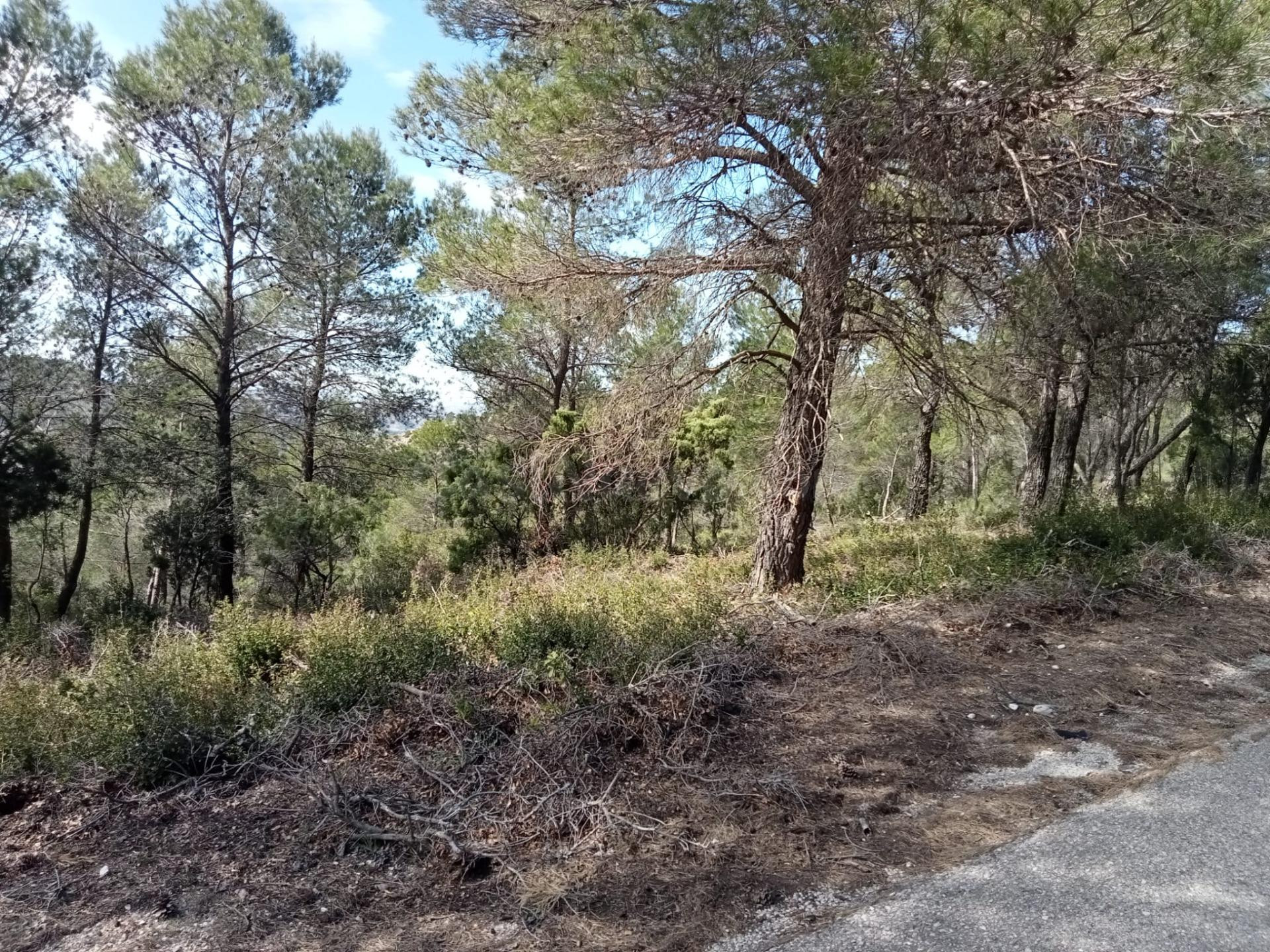 Parcela urbanizable de 955m2, en zona muy tranquila - foto 2