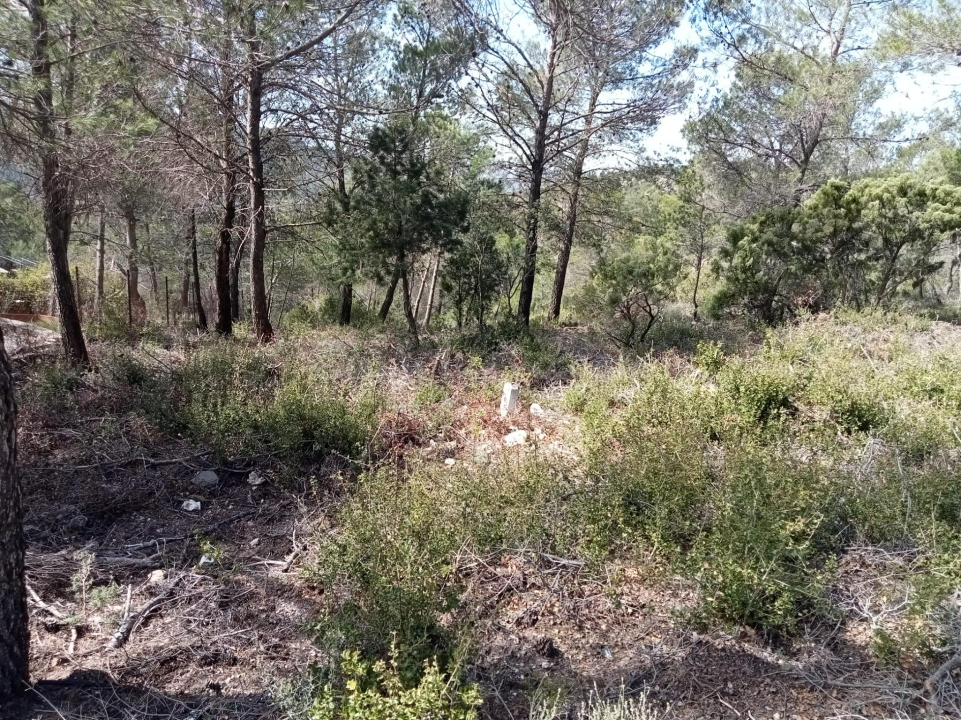 Parcela urbanizable de 955m2, en zona muy tranquila - foto 4