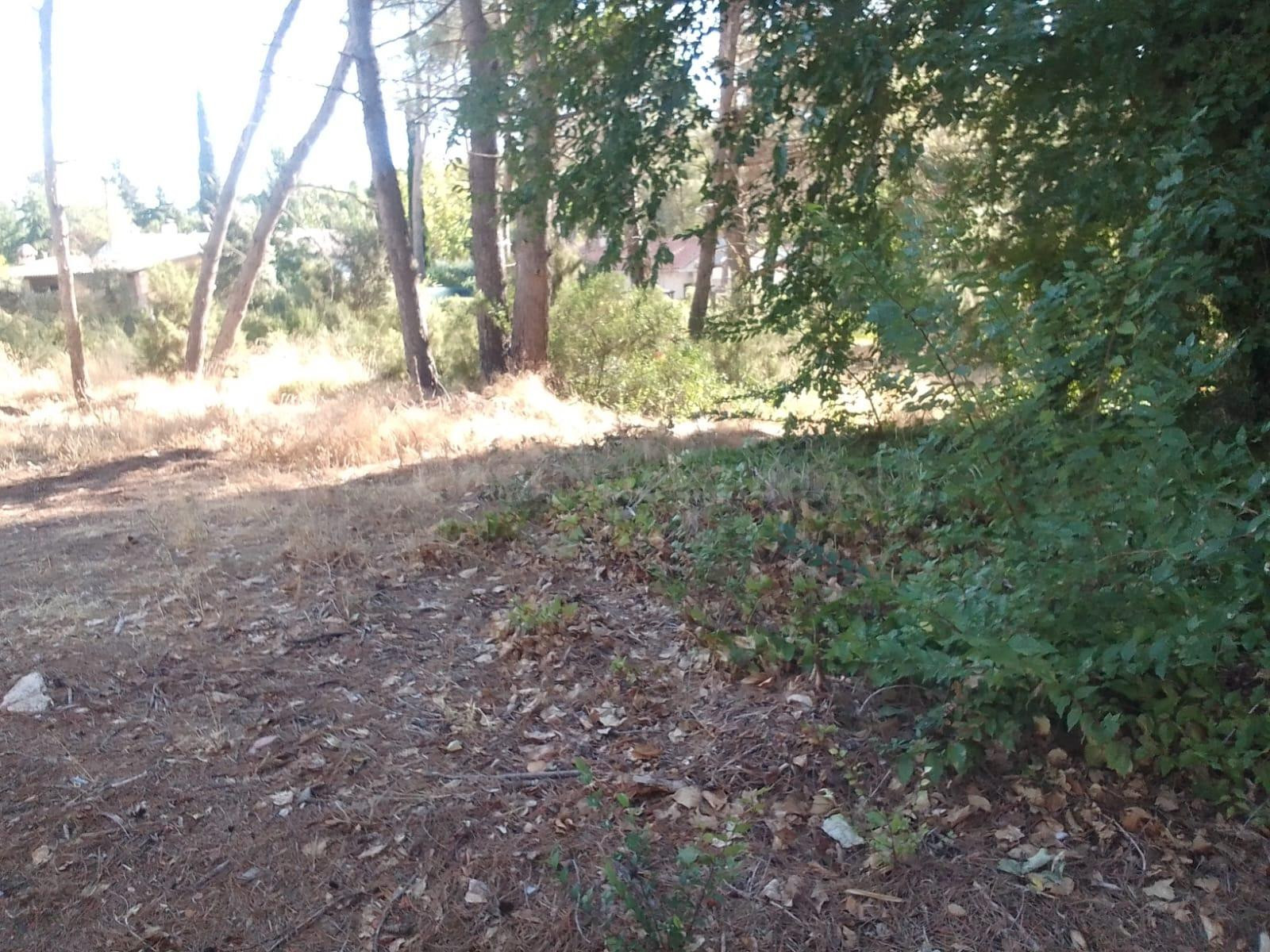 Tegeisa vende dos parcelas llanas, disponibles juntas o por separado. - foto 3