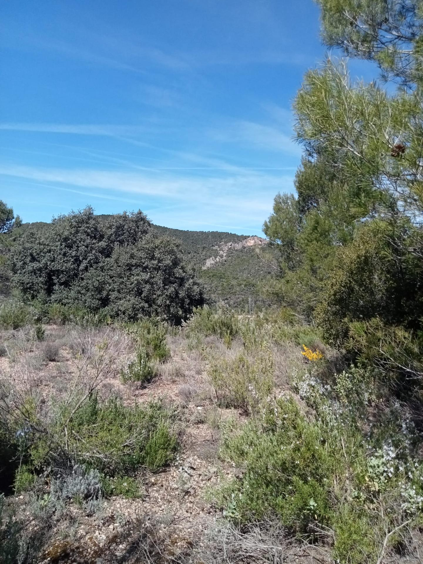 Tegeisa vende Parcela de 876m2 vallada