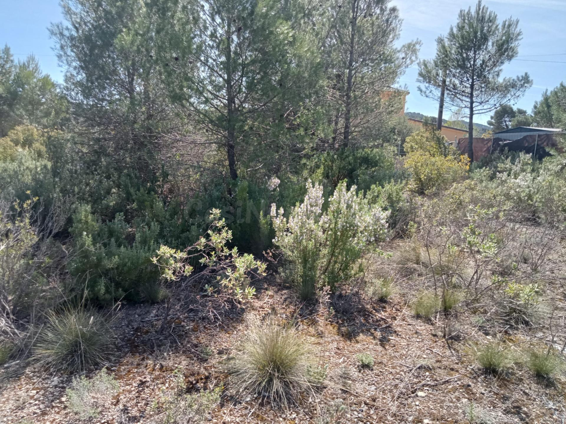 Tegeisa vende Parcela de 876m2 vallada - foto 2