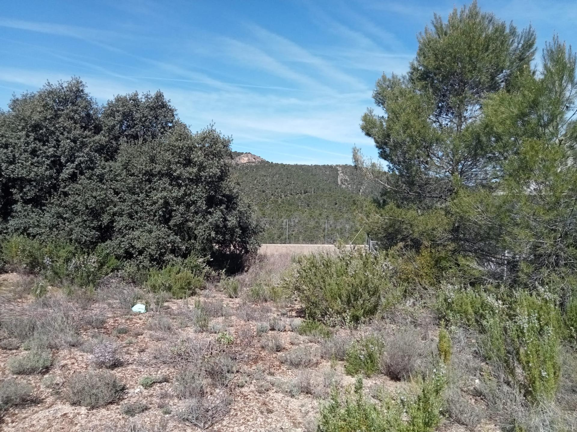 Tegeisa vende Parcela de 876m2 vallada - foto 3
