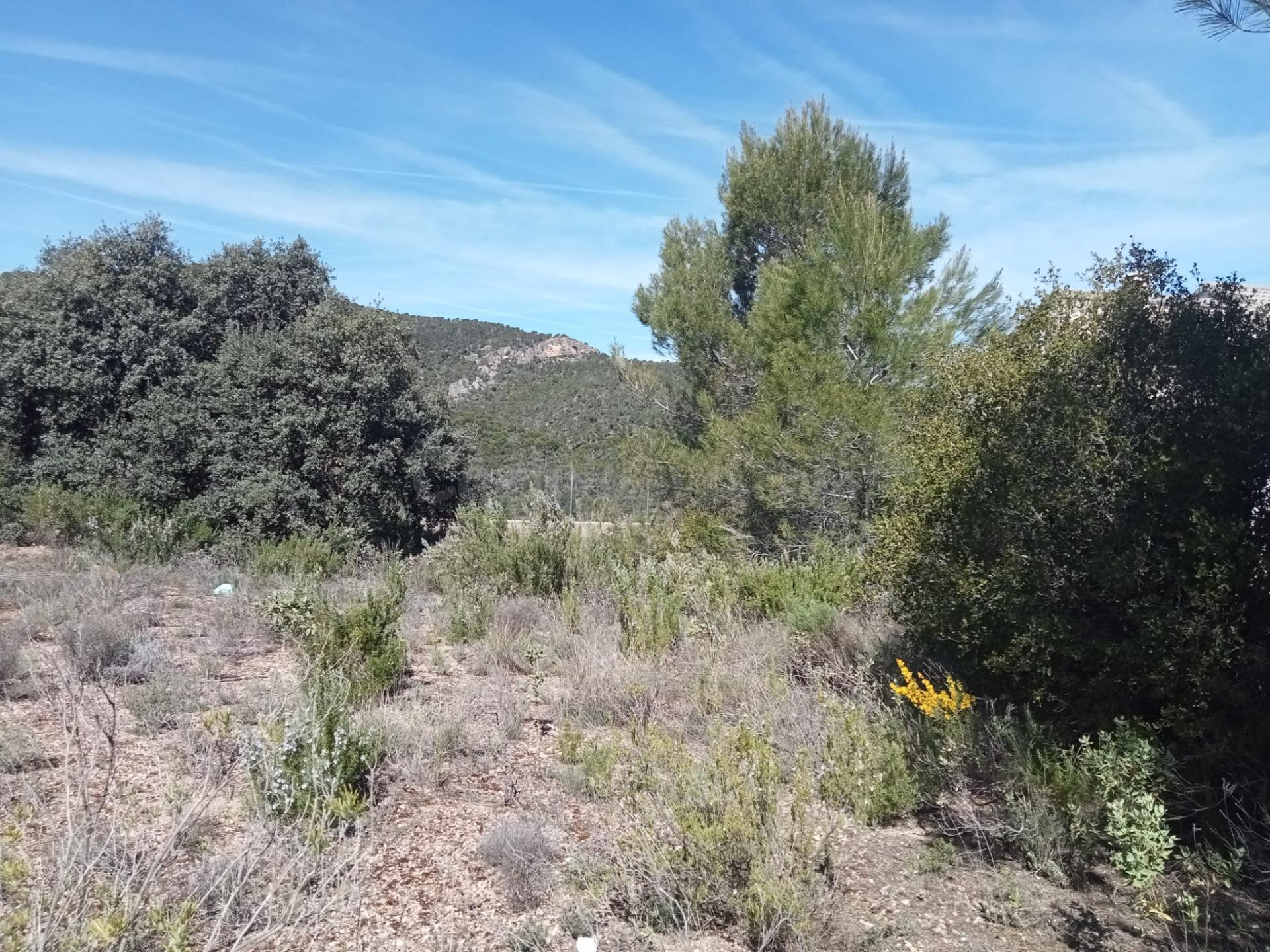 Tegeisa vende Parcela de 876m2 vallada - foto 4