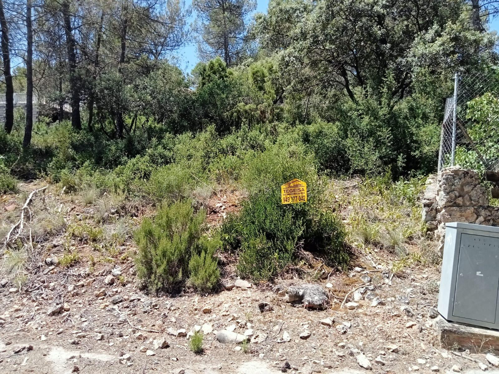 SE VENDE PARCELA MUY CERCA DE LA HIPICA - foto 2
